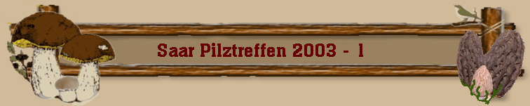 Saar Pilztreffen 2003 - 1 