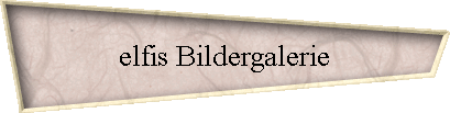 elfis Bildergalerie